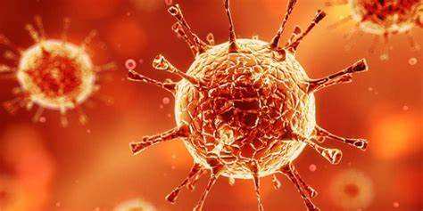 艾伏尼布:白血病治疗领域的革新突破,临床试验数据彰显卓越疗效 艾伏尼布:白血病治疗领域的革新突破,临床试验数据彰显卓越疗效